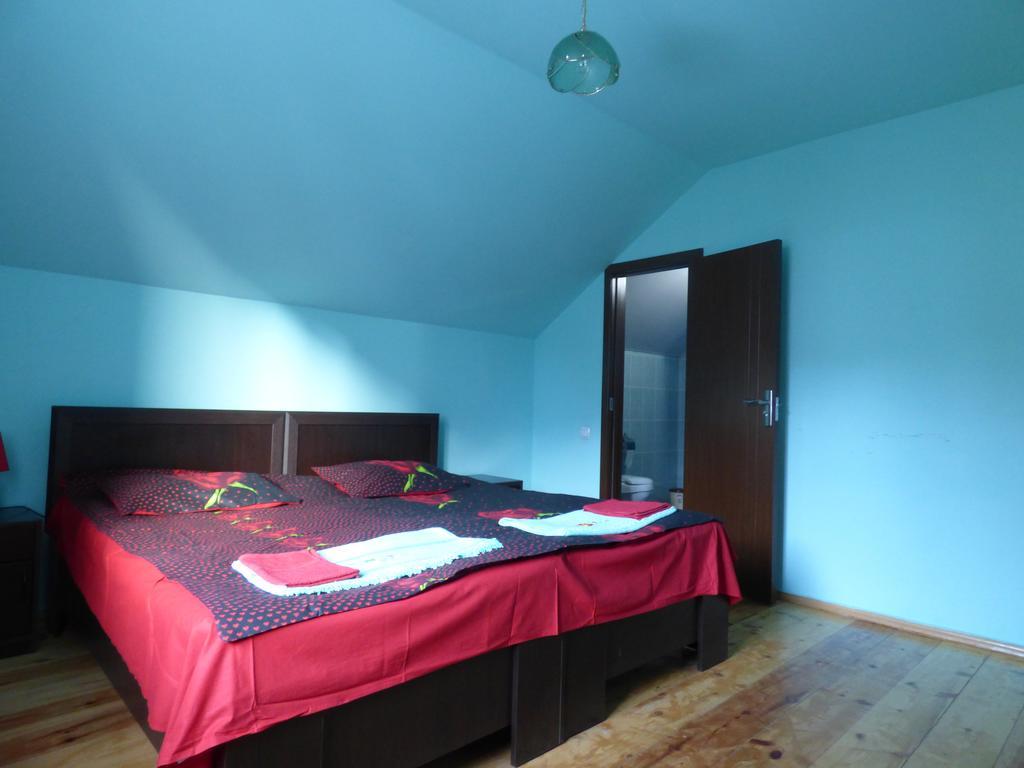 Anano Guest House Kazbegi Δωμάτιο φωτογραφία